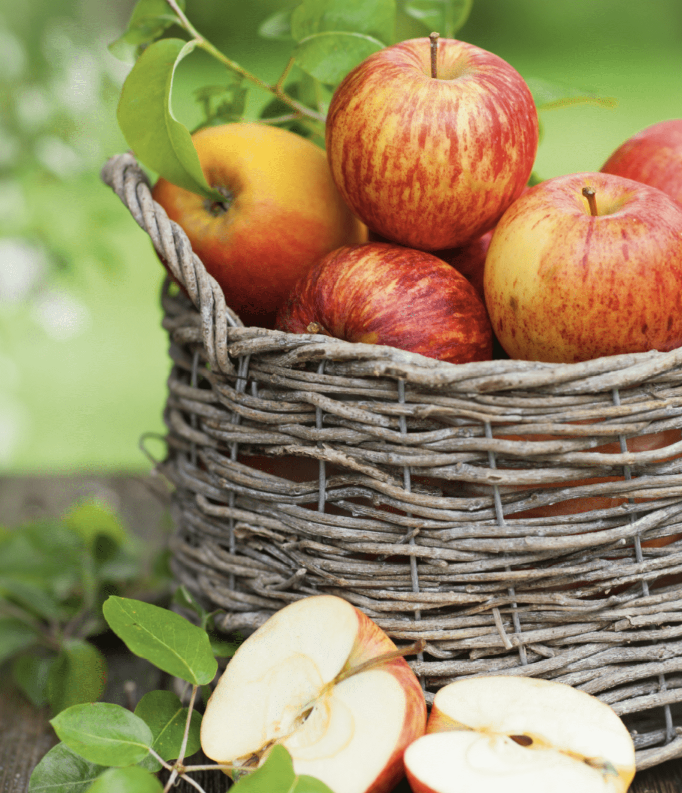 Äpfel im Korb vor einem grünen verschwommenem Hintergrund