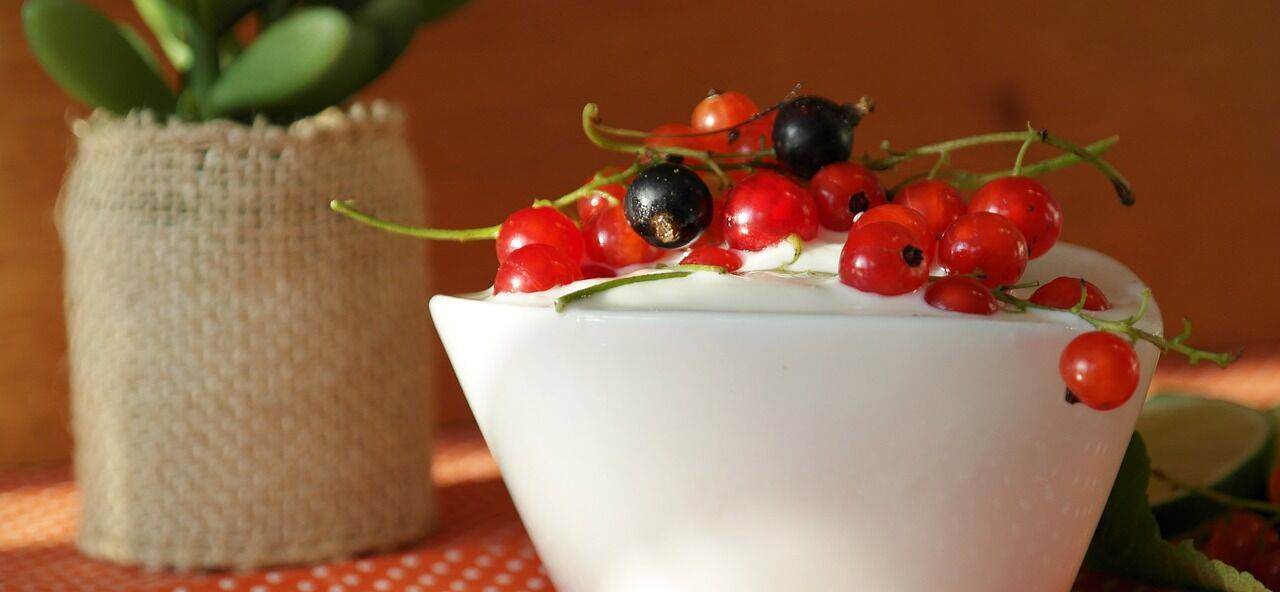 Johannisbeere-Zitrone Joghurt Dessert