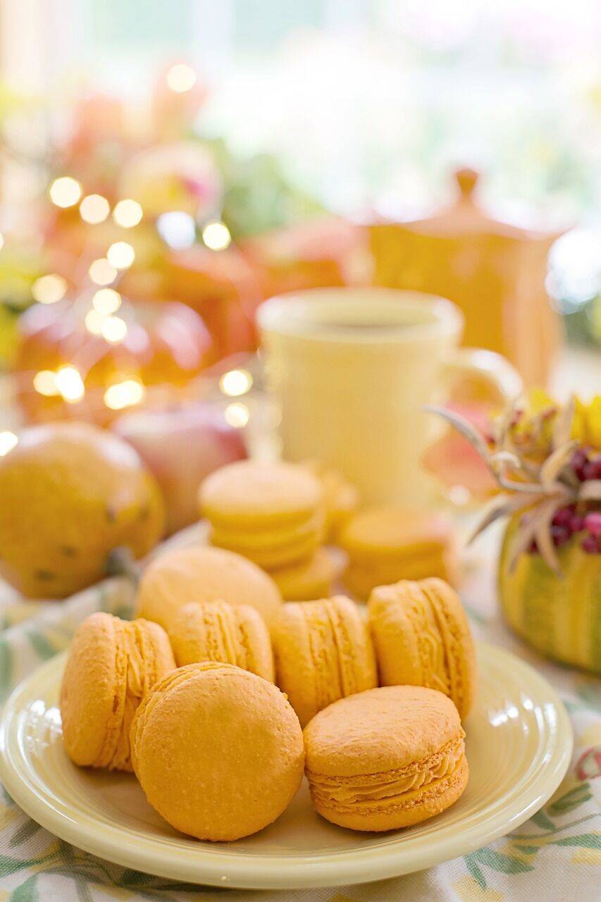 Holunder Macarons