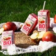 Höllinger Bio Apfel-Kirsch-Schulsaftpackungen und frische Äpfel auf einer Picknickdecke im Gras.