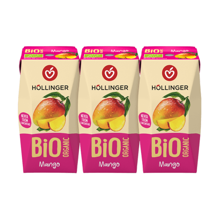 Bio Mango Schulsaft im Tetra Pak