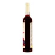 Flasche_Sirup_Fruechtetraum_Seite2