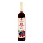 Flasche_Sirup_Fruechtetraum_VS