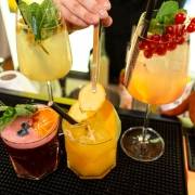Haneder begeisterte mit Drink-Kreationen ohne Alkohol (c) Paul Ambrusch